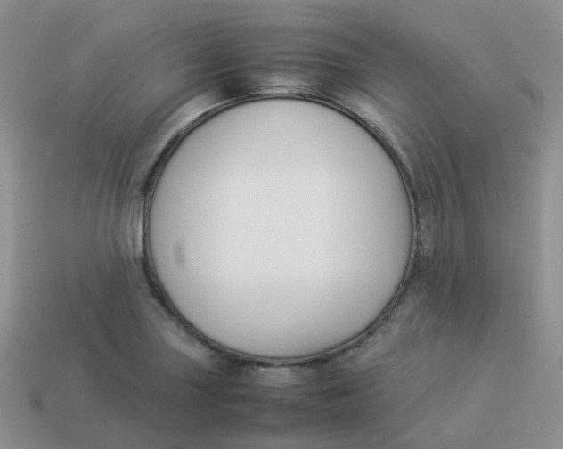X0000113371227200910131314