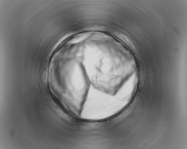 X0000113371228200910131314