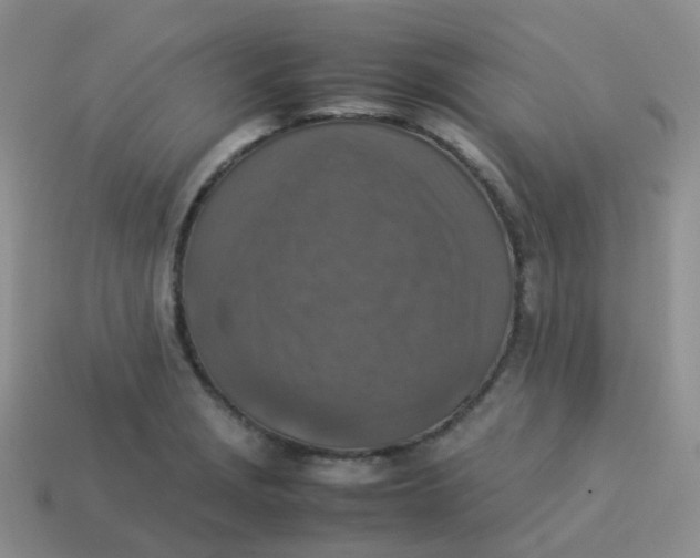 X0000113371229200910131314