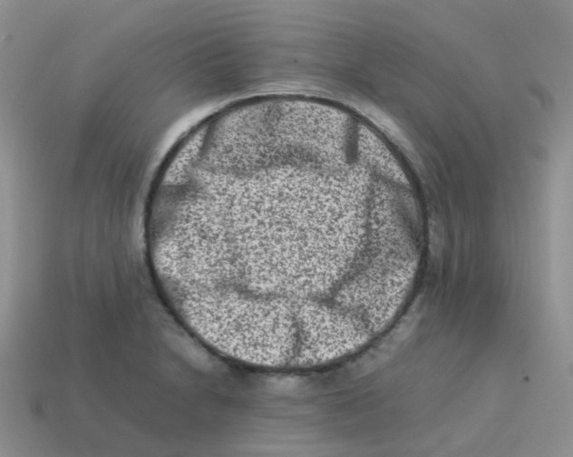 X0000113371230200910131314