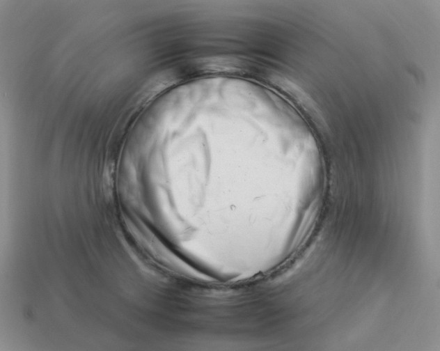 X0000113371233200910131314
