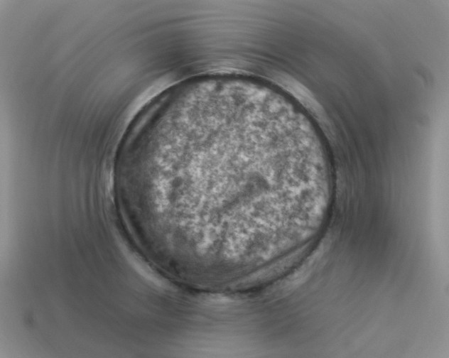 X0000113371234200910131314