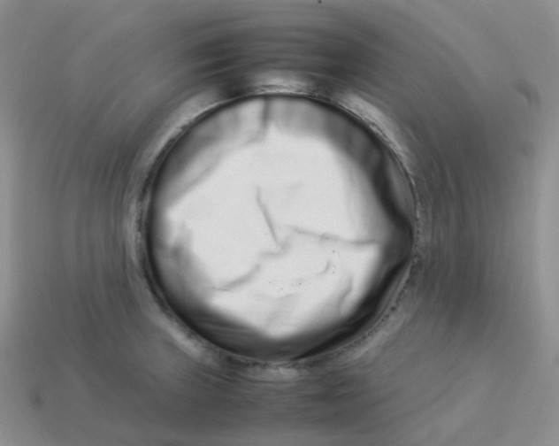 X0000113371235200910131314