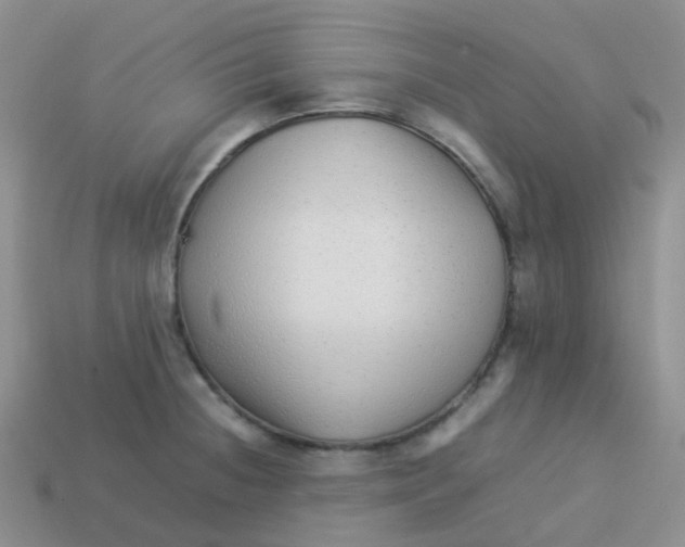 X0000113371236200910131314