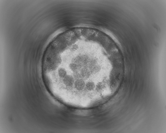 X0000113371237200910131314