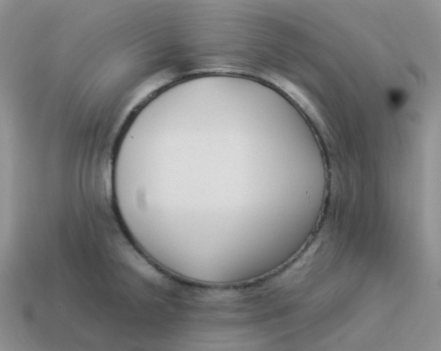 X0000113371238200910131314