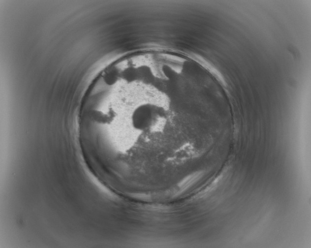 X0000113371239200910131314