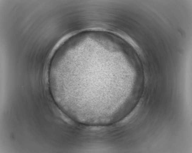 X0000113371240200910131314