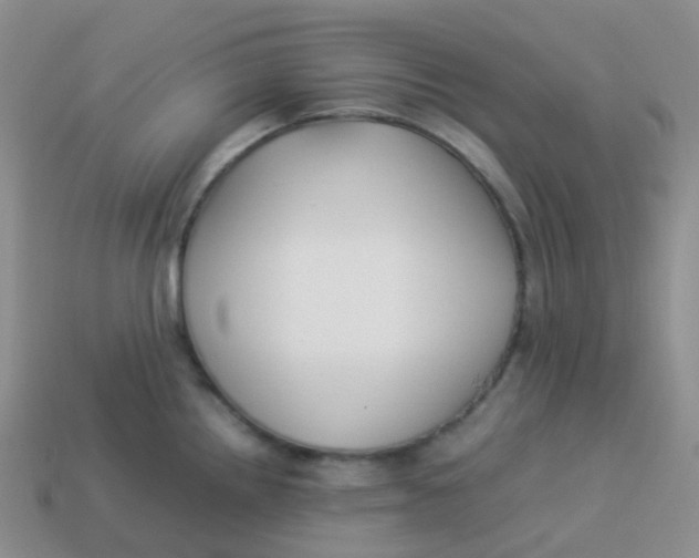 X0000113371242200910131314