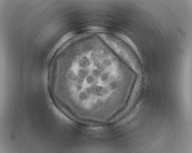 X0000113371243200910131314
