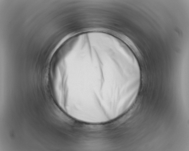 X0000113371244200910131314