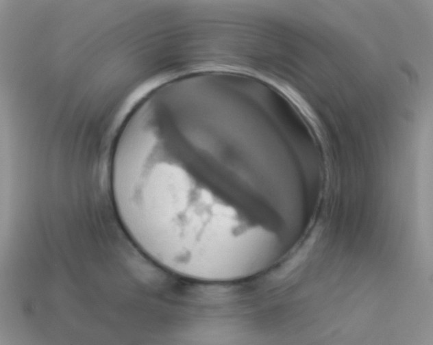 X0000113371246200910131314