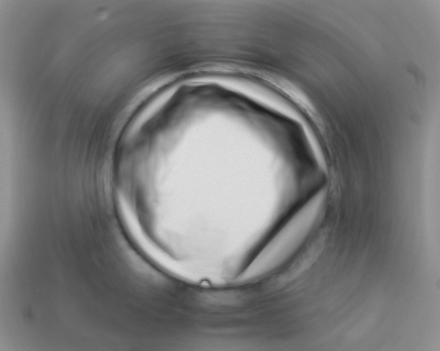 X0000113371247200910131314
