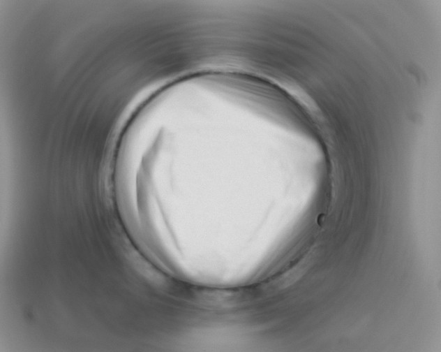 X0000113371248200910131314
