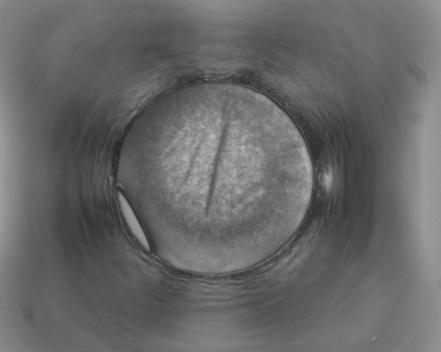 X0000113371252200910131314