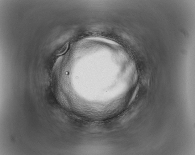 X0000113371253200910131314