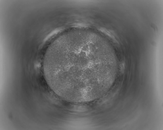 X0000113371254200910131314