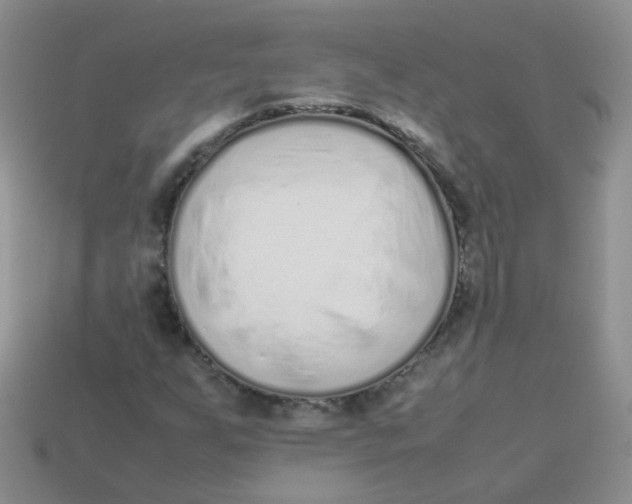 X0000113371255200910131314