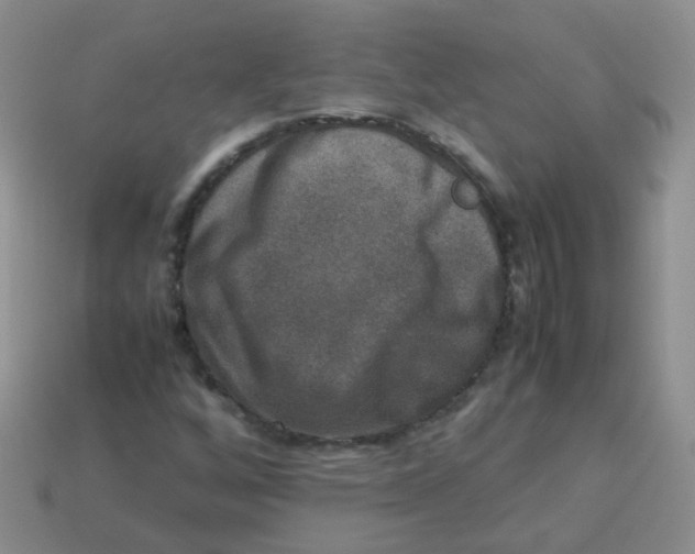 X0000113371256200910131314