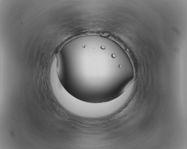 X0000113371257200910131314