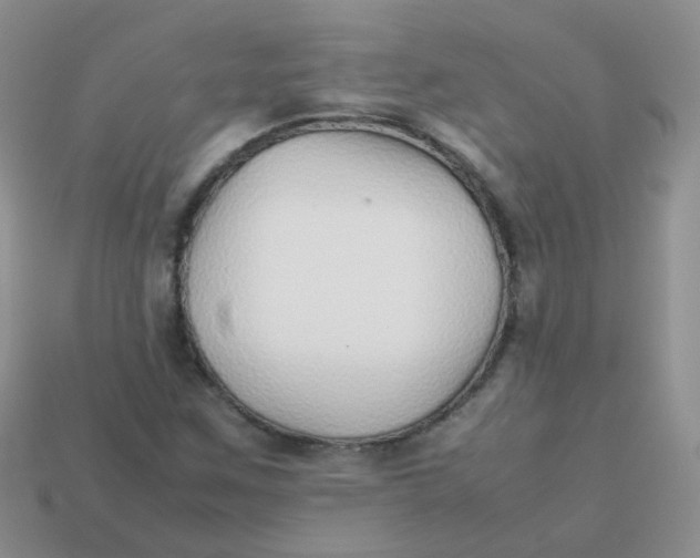 X0000113371259200910131314
