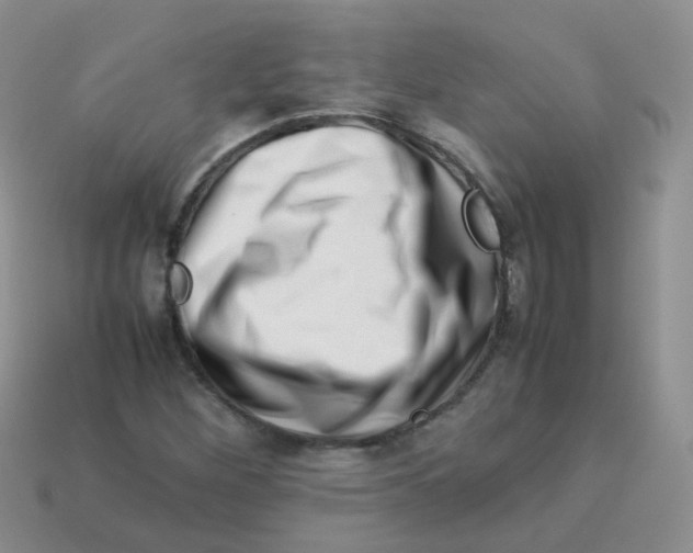 X0000113371260200910131314