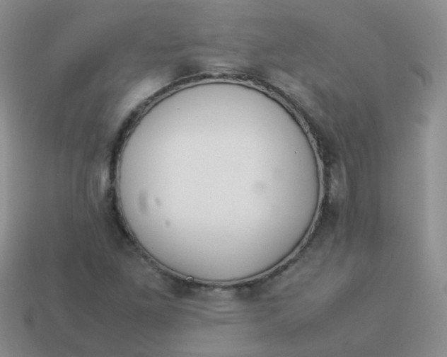 X0000113371261200910131314