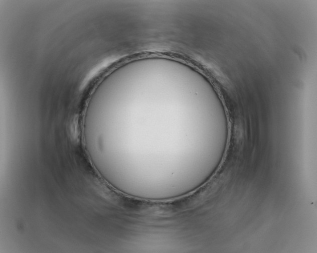 X0000113371262200910131314