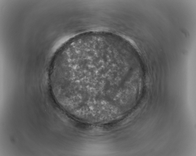 X0000113371263200910131314