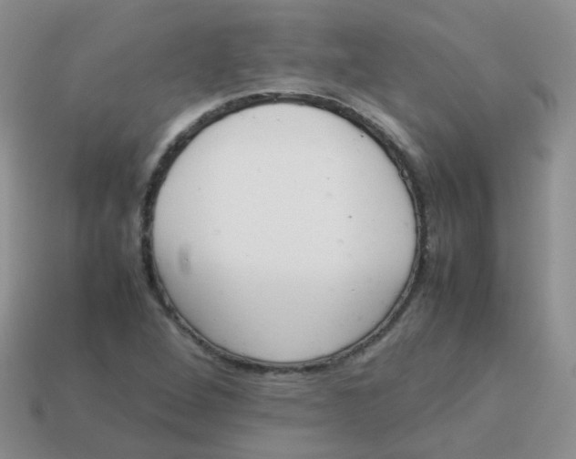 X0000113371264200910131314