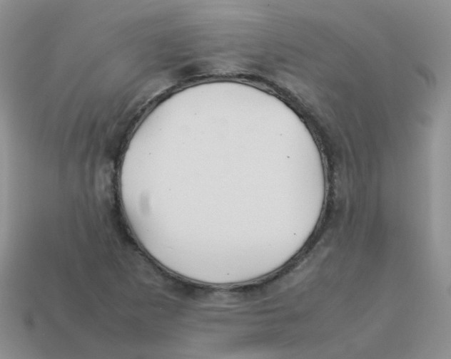 X0000113371265200910131314