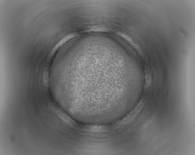 X0000113371266200910131314