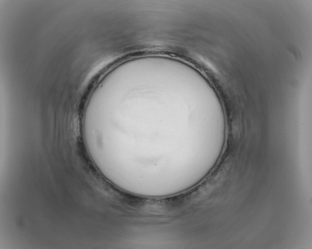 X0000113371267200910131314