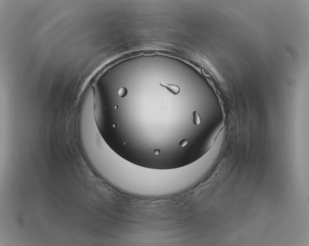 X0000113371268200910131314