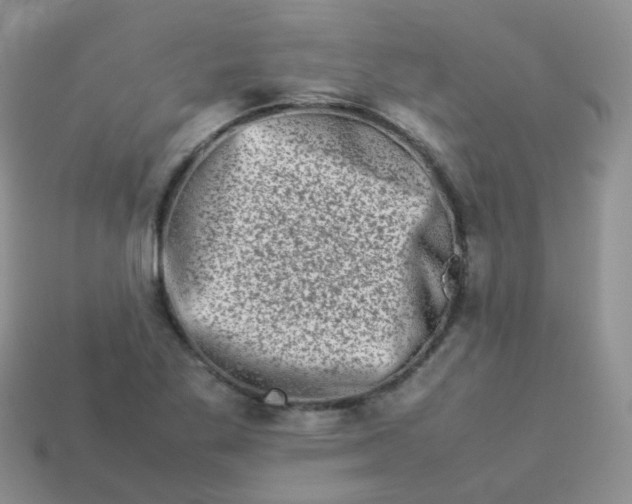X0000113371269200910131314