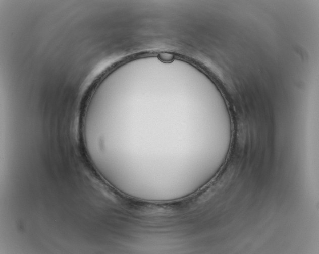 X0000113371270200910131314