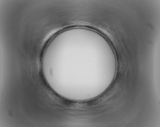 X0000113371271200910131313