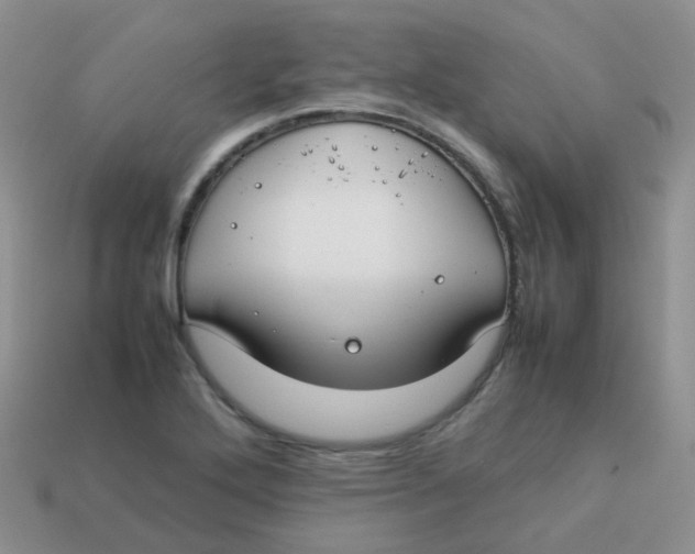 X0000113371272200910131313