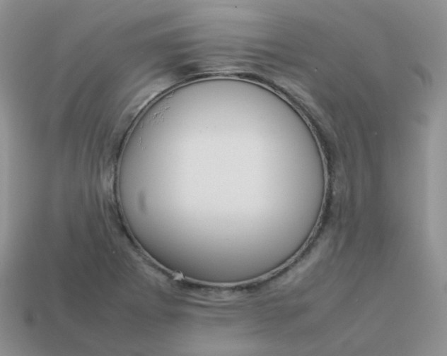 X0000113371273200910131313