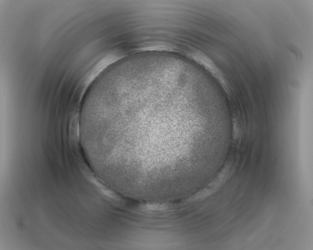 X0000113371274200910131313