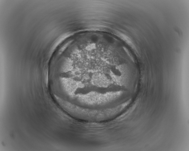 X0000113371275200910131313
