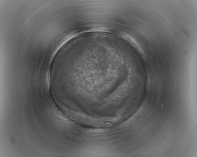 X0000113371276200910131313