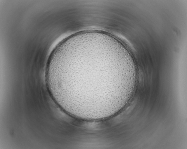 X0000113371278200910131313