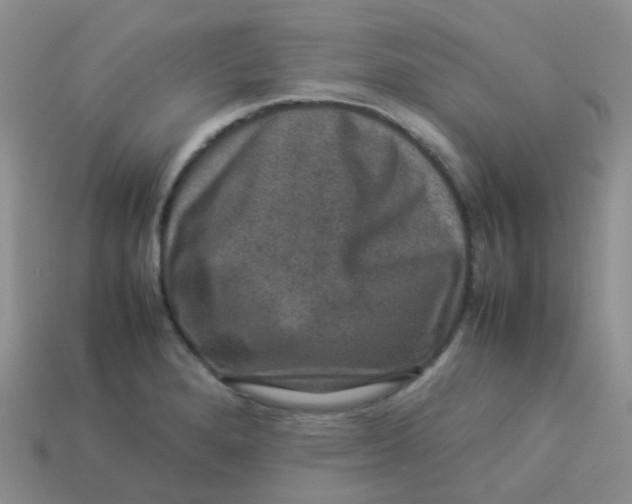 X0000113371280200910131313