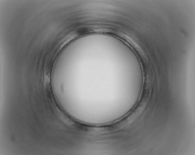 X0000113371281200910131313