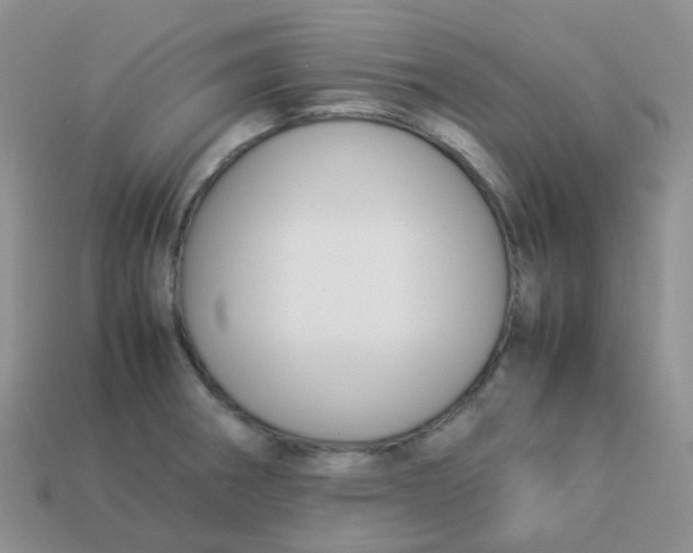 X0000113371282200910131313