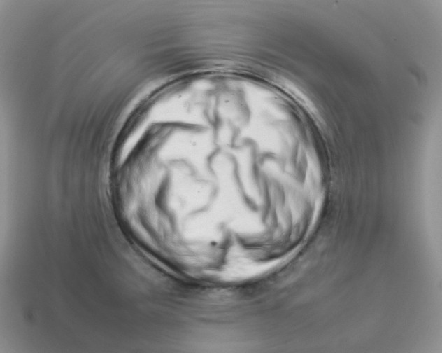 X0000113371283200910131313