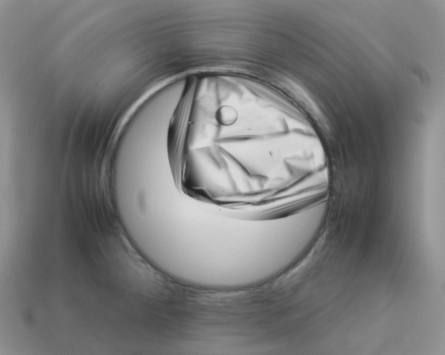 X0000113371284200910131313