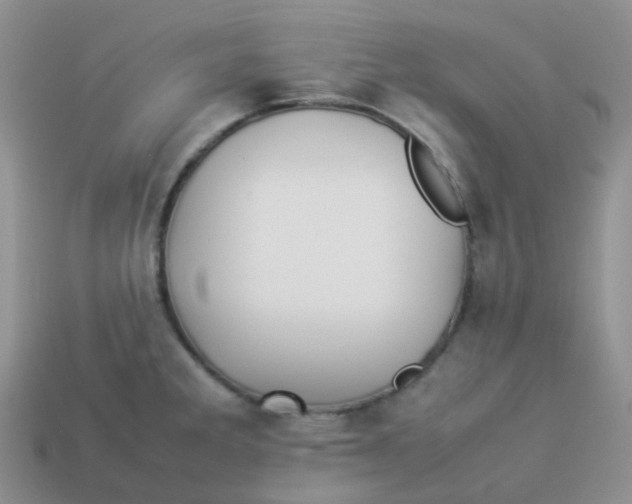X0000113371285200910131313