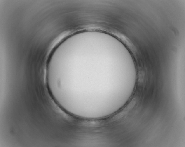 X0000113371286200910131313